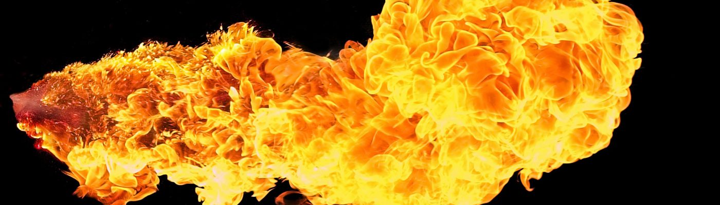 the enkindled coal of my tongue